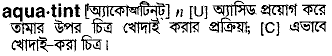Aquatint in Bangla Academy Dictionary