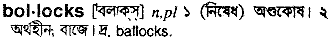 Bollocks in Bangla Academy Dictionary