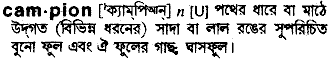 Campion in Bangla Academy Dictionary