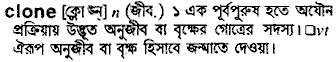 Clone in Bangla Academy Dictionary