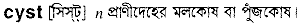 Cyst in Bangla Academy Dictionary