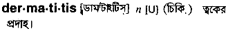 Dermatitis in Bangla Academy Dictionary