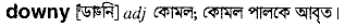 Downy in Bangla Academy Dictionary