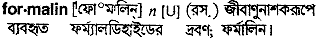 Formalin in Bangla Academy Dictionary