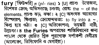 Fury in Bangla Academy Dictionary