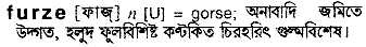 Furze in Bangla Academy Dictionary