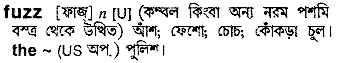 Fuzz in Bangla Academy Dictionary