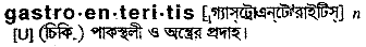 Gastroenteritis in Bangla Academy Dictionary