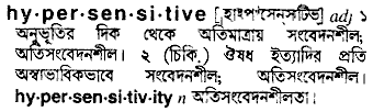 Hypersensitive in Bangla Academy Dictionary