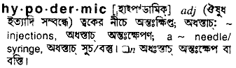Hypodermic in Bangla Academy Dictionary