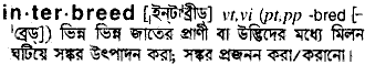 Interbreed in Bangla Academy Dictionary