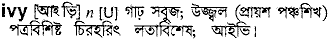 Ivy in Bangla Academy Dictionary