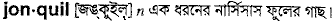 Jonquil in Bangla Academy Dictionary
