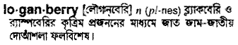 Loganberry in Bangla Academy Dictionary