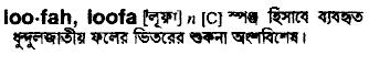 Loofah in Bangla Academy Dictionary
