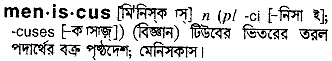 Meniscus in Bangla Academy Dictionary