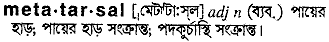 Metatarsal in Bangla Academy Dictionary