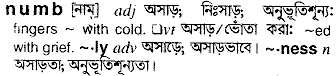 Numb in Bangla Academy Dictionary