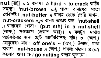 Nut in Bangla Academy Dictionary