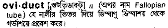 Oviduct in Bangla Academy Dictionary