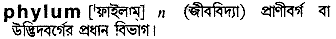 Phylum in Bangla Academy Dictionary