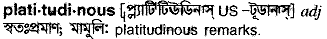 Platitudinous in Bangla Academy Dictionary
