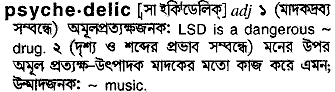 Psychedelic in Bangla Academy Dictionary