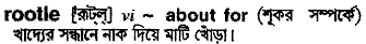 Rootle in Bangla Academy Dictionary