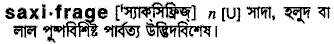Saxifrage in Bangla Academy Dictionary