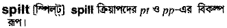 Spilt in Bangla Academy Dictionary
