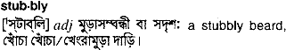 Stubbly in Bangla Academy Dictionary