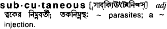 Subcutaneous in Bangla Academy Dictionary