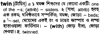 Twin in Bangla Academy Dictionary