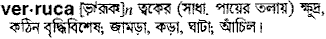 Verruca in Bangla Academy Dictionary