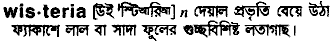 Wisteria in Bangla Academy Dictionary