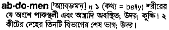 Abdomen in Bangla Academy Dictionary