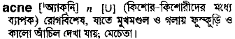 Acne in Bangla Academy Dictionary