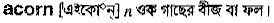 Acorn in Bangla Academy Dictionary