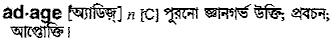 Adage in Bangla Academy Dictionary