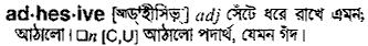 Adhesive in Bangla Academy Dictionary