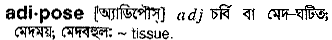Adipose in Bangla Academy Dictionary