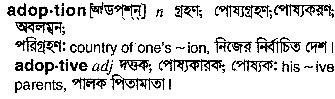 Adoption in Bangla Academy Dictionary
