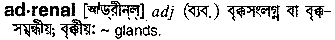 Adrenal in Bangla Academy Dictionary