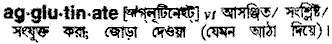 Agglutinate in Bangla Academy Dictionary