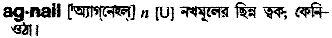 Agnail in Bangla Academy Dictionary