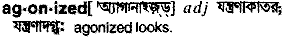 Agonized in Bangla Academy Dictionary