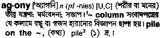 Agony in Bangla Academy Dictionary