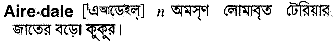 Airedale in Bangla Academy Dictionary