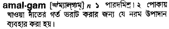 Amalgam in Bangla Academy Dictionary