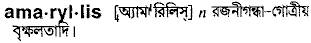 Amaryllis in Bangla Academy Dictionary